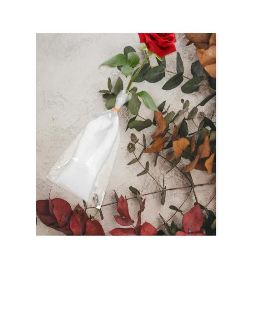 Bolsa de Hidratación Para Flor