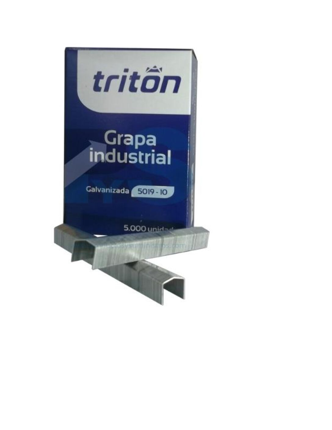 Grapa 5019